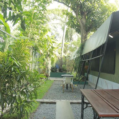 Traveler'S Haven Hostel At Colombo Intl Airport Katunayaka Екстериор снимка