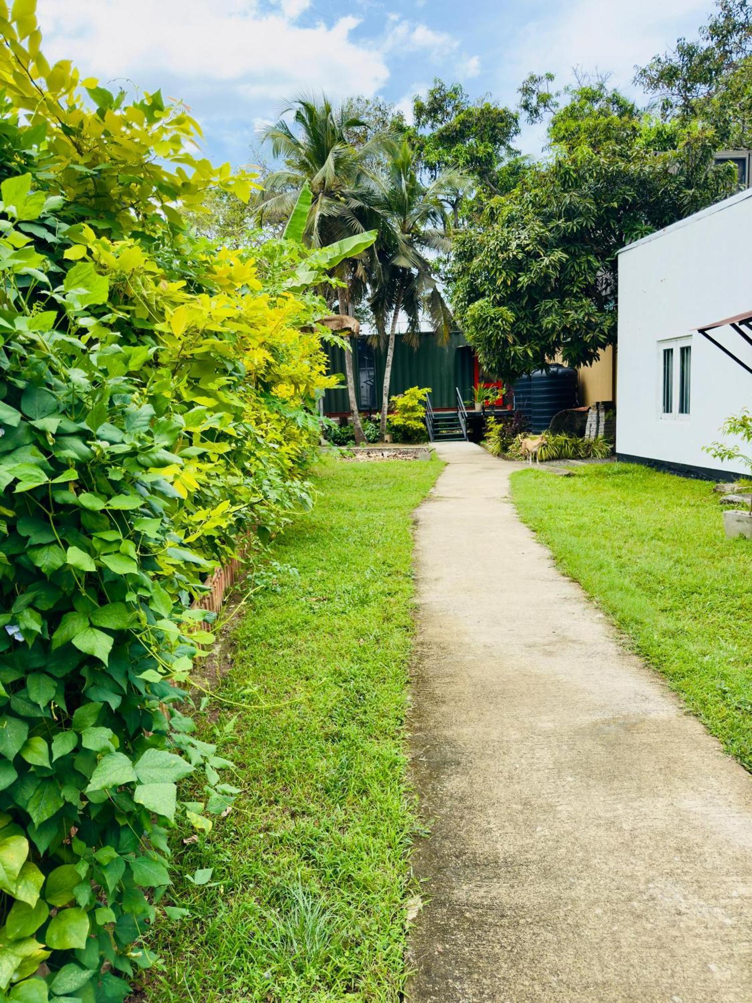 Traveler'S Haven Hostel At Colombo Intl Airport Katunayaka Екстериор снимка